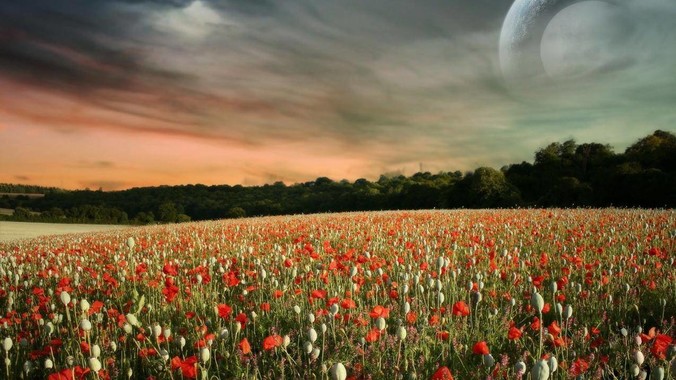 和女生合租，都会发生什么事情？